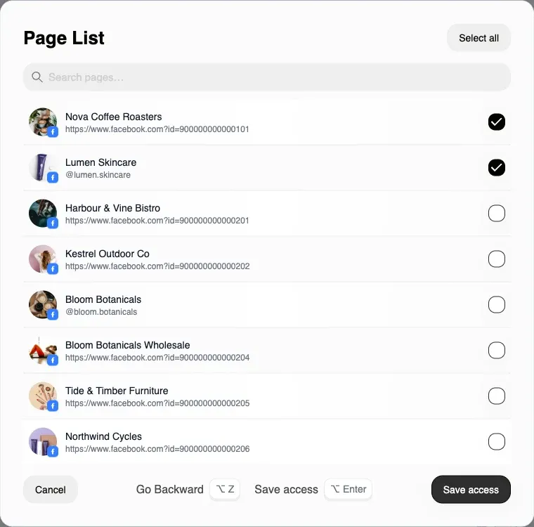 Step two of the access picker, the page list, with individual pages ticked